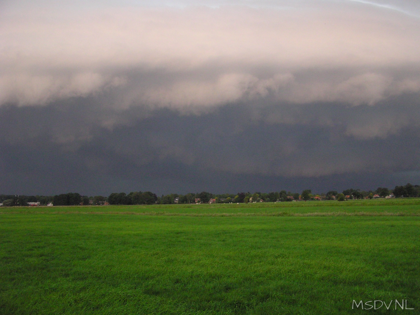 copyright msdv.nl