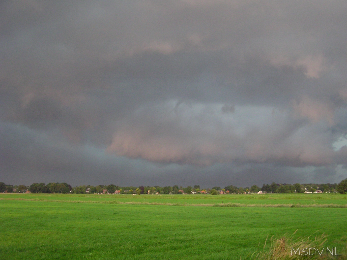 copyright msdv.nl