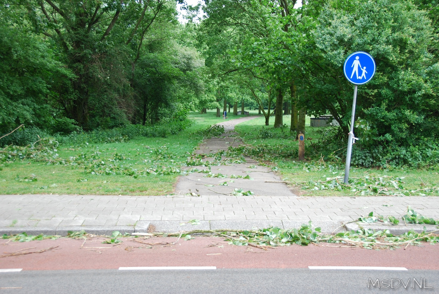 copyright msdv.nl