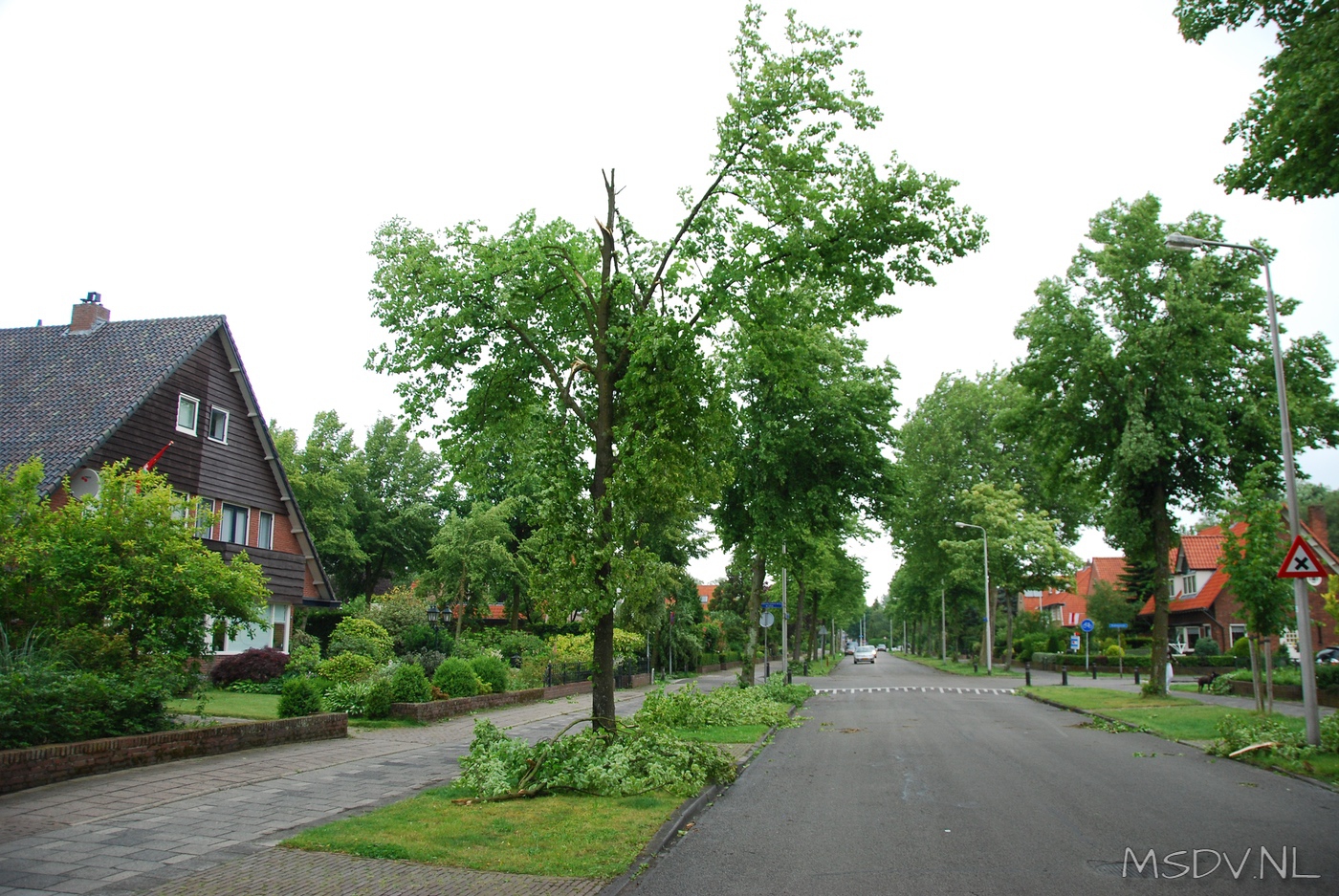 copyright msdv.nl