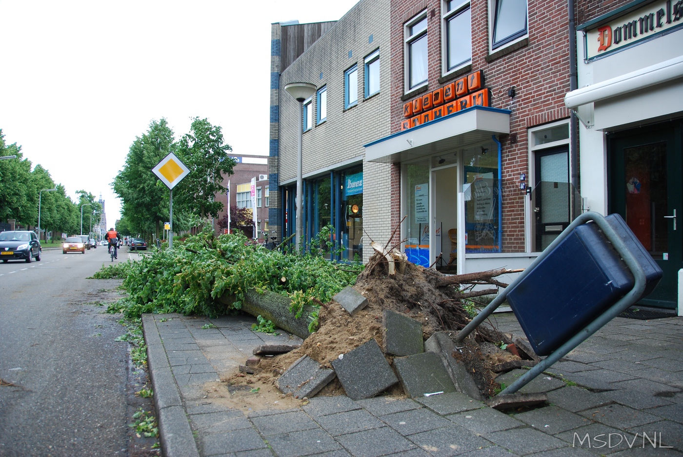 copyright msdv.nl