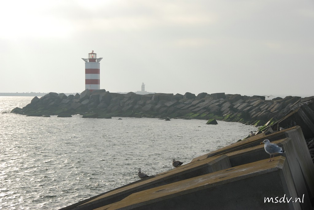 copyright msdv.nl