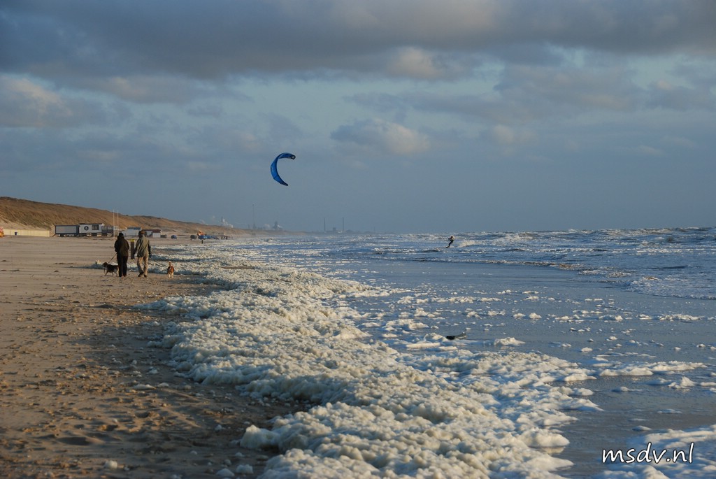 copyright msdv.nl