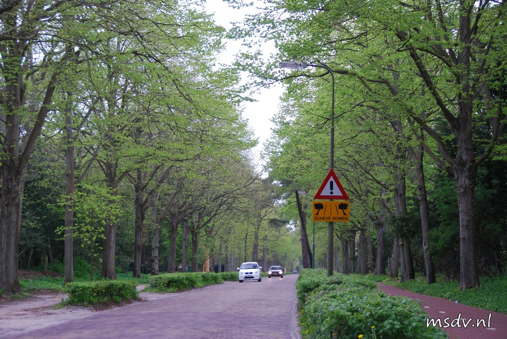 copyright msdv.nl