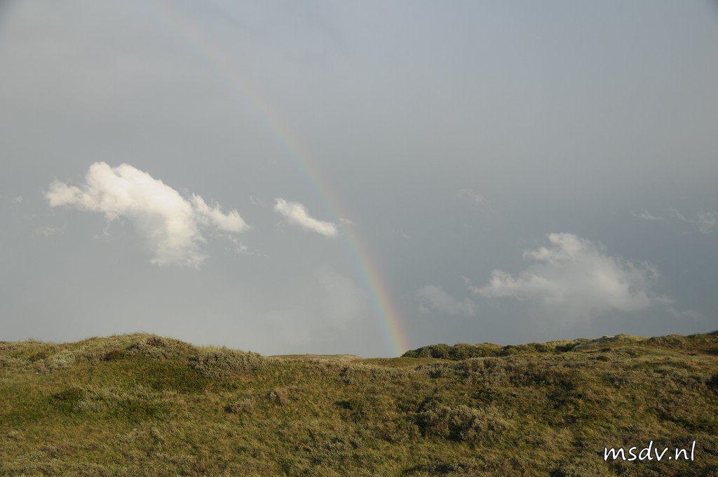 copyright msdv.nl