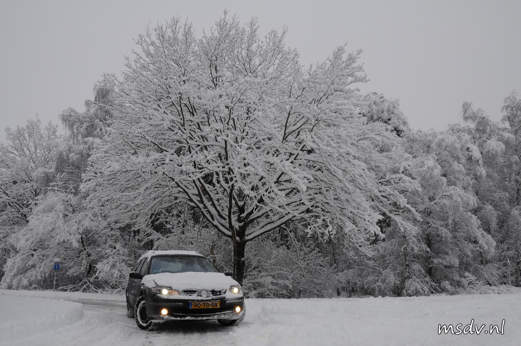 copyright msdv.nl