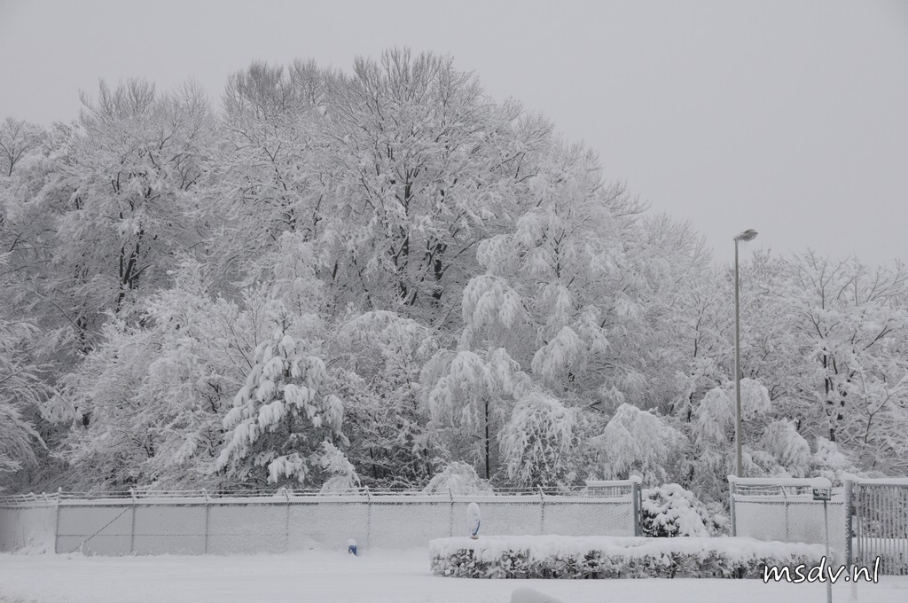 copyright msdv.nl