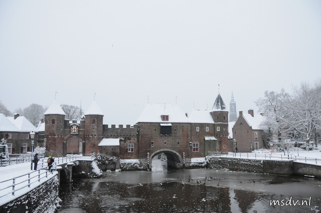 copyright msdv.nl