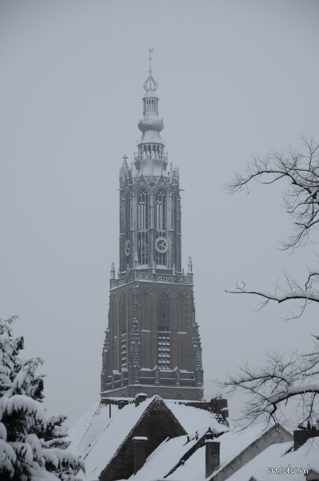 copyright msdv.nl