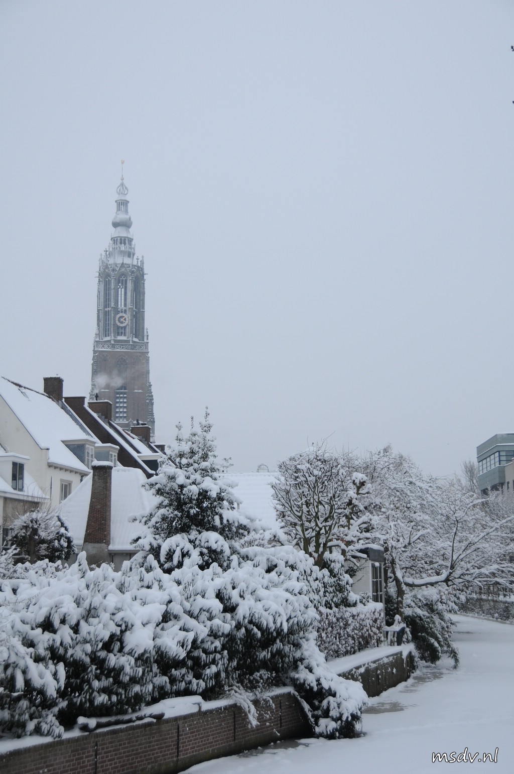 copyright msdv.nl