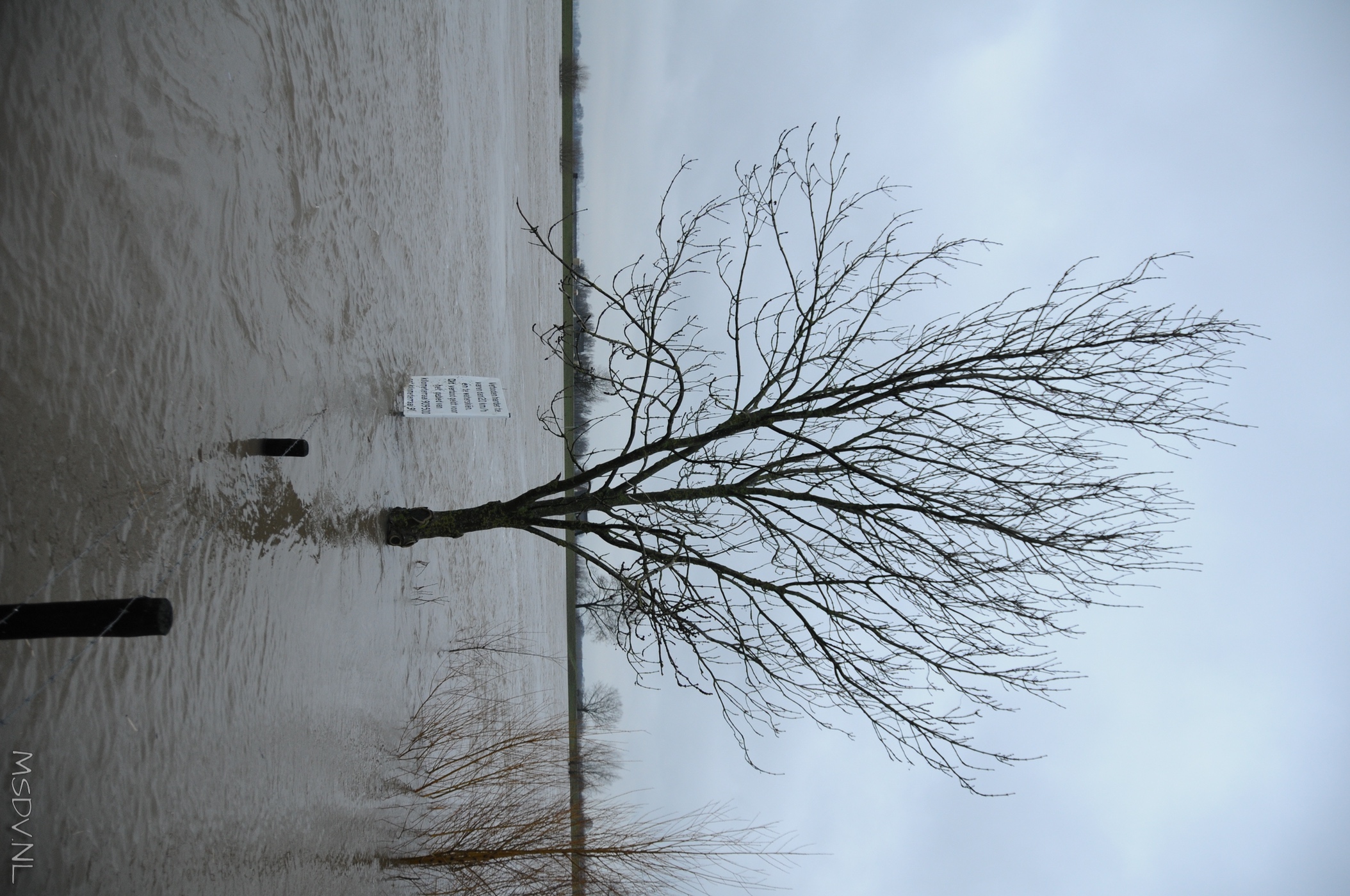 copyright msdv.nl