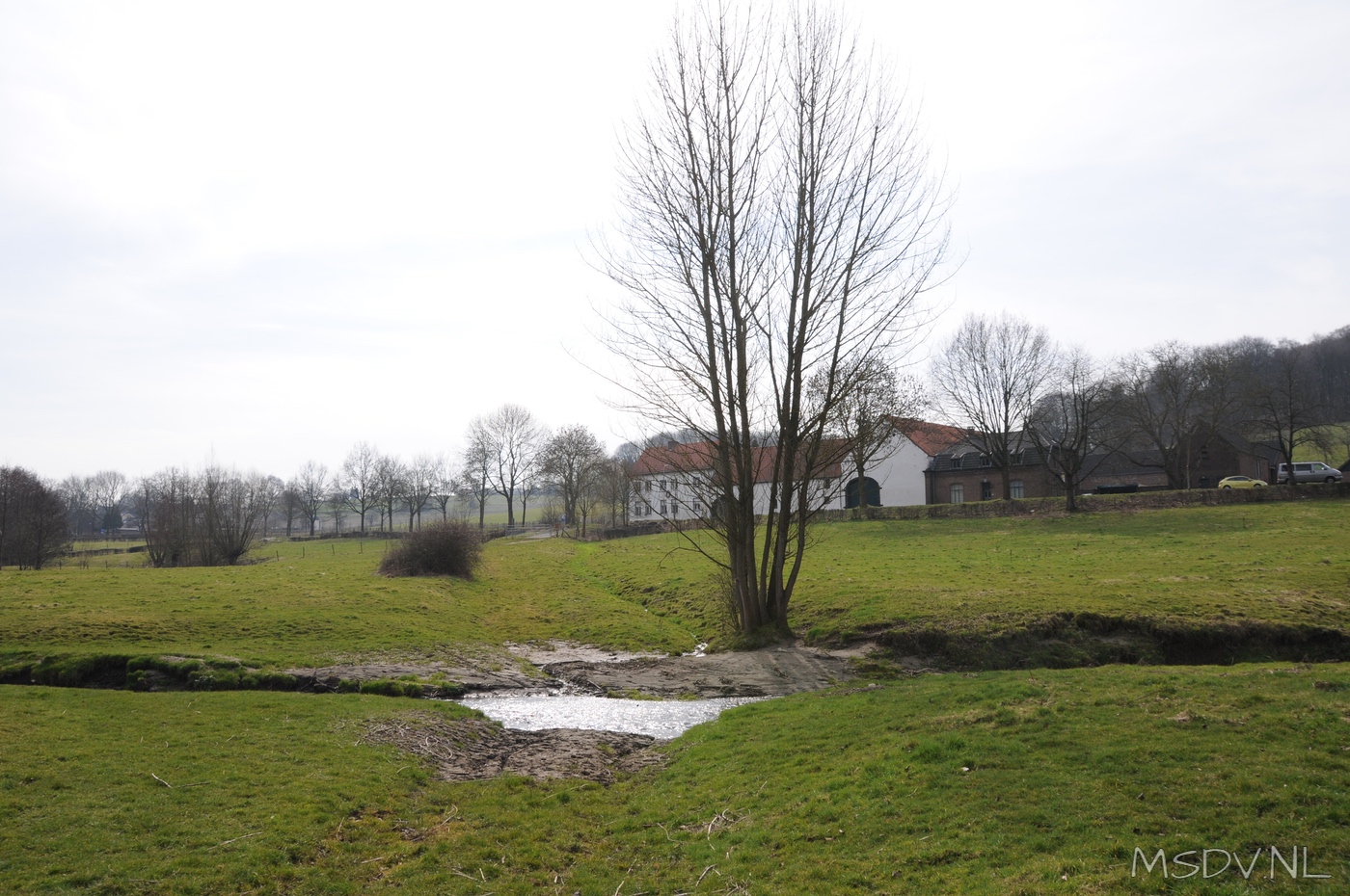 copyright msdv.nl