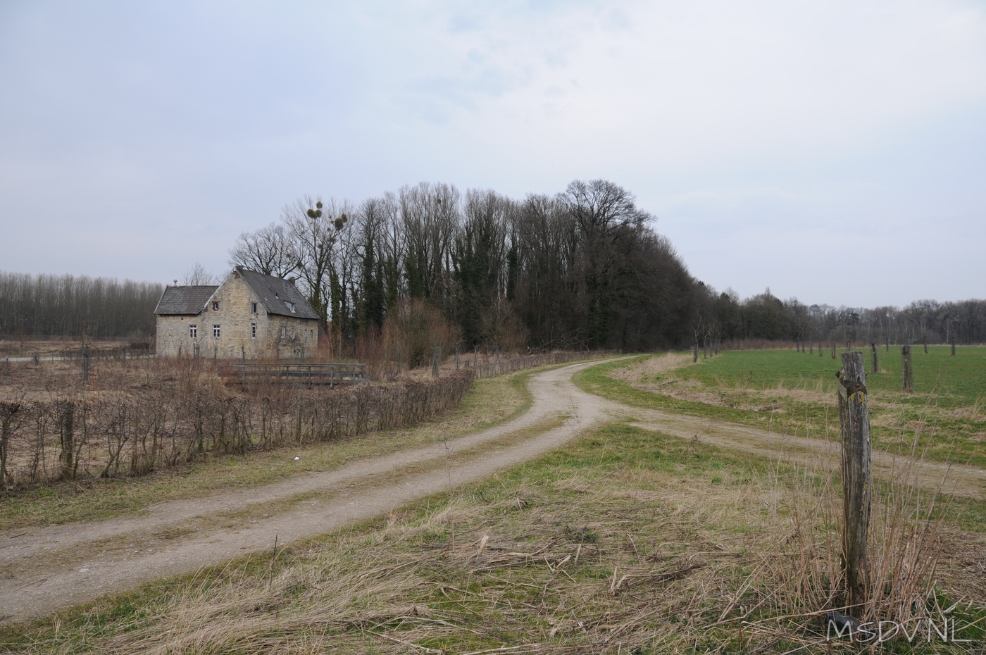 copyright msdv.nl