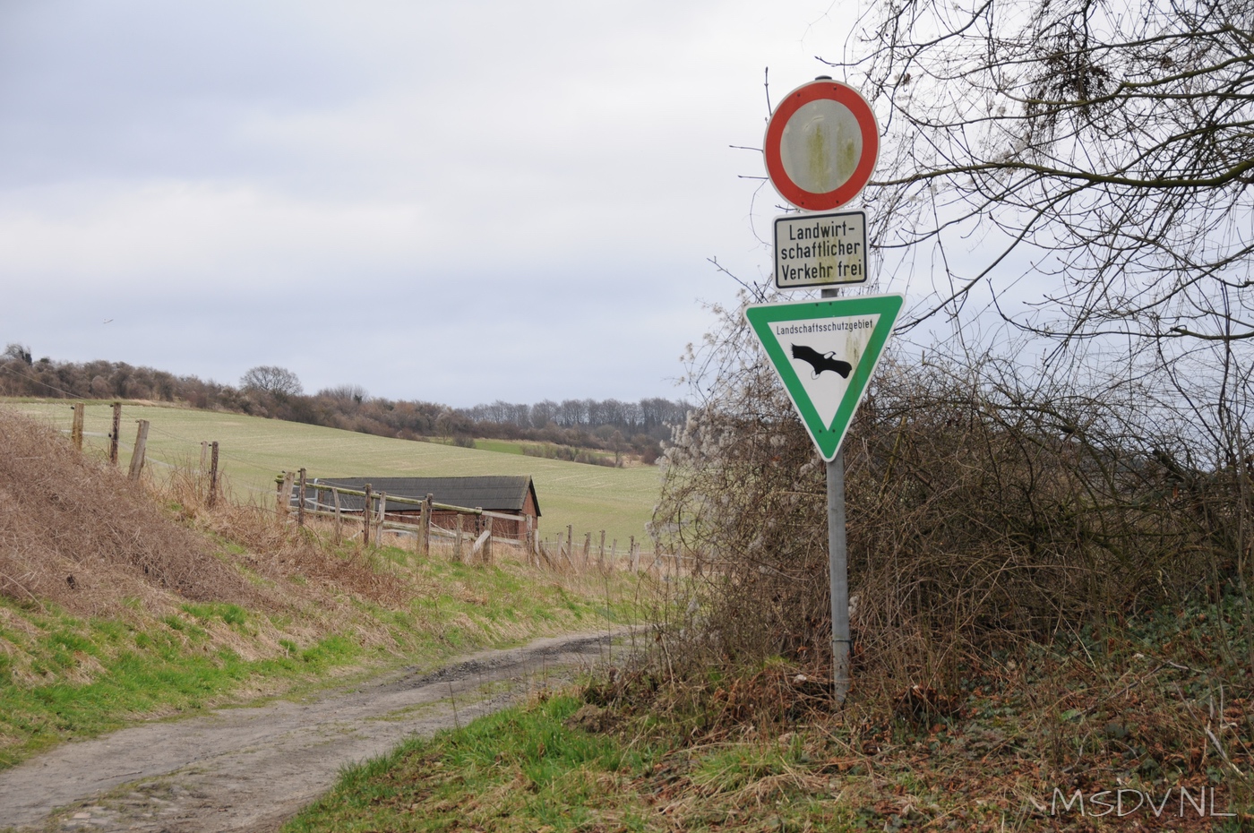 copyright msdv.nl