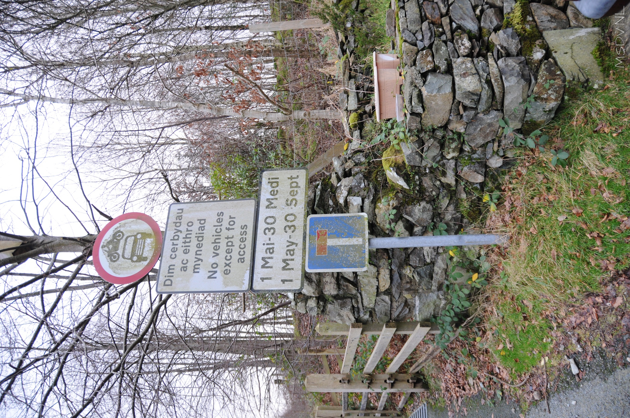 copyright msdv.nl