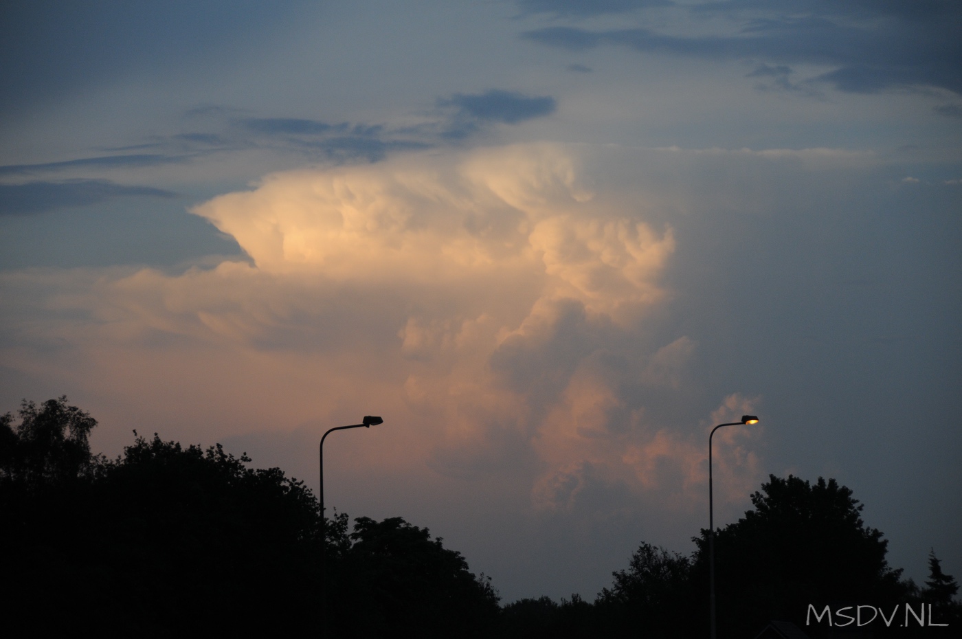 copyright msdv.nl