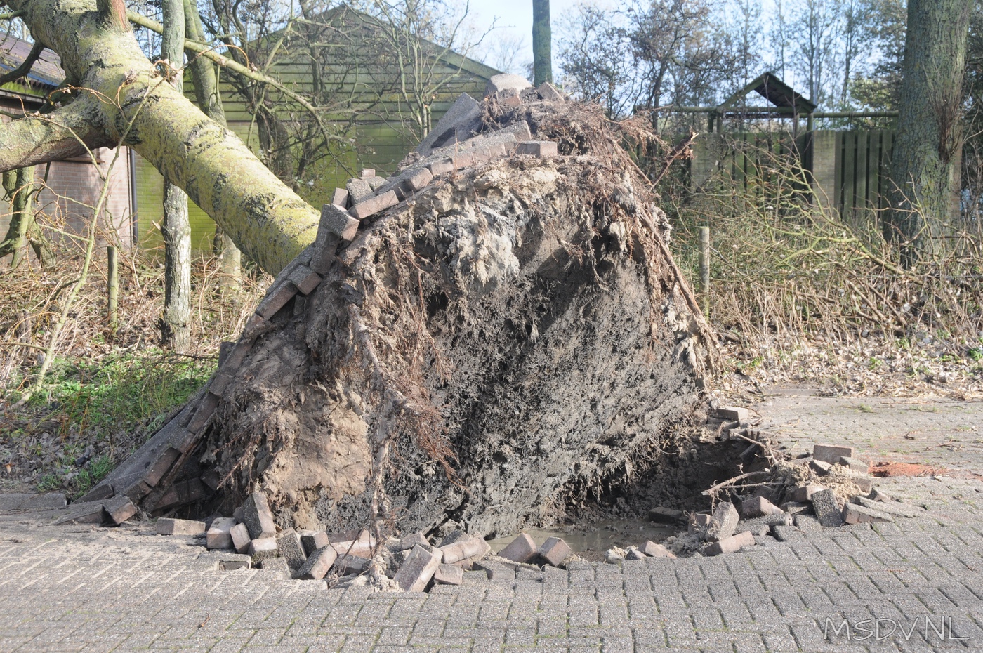 copyright msdv.nl