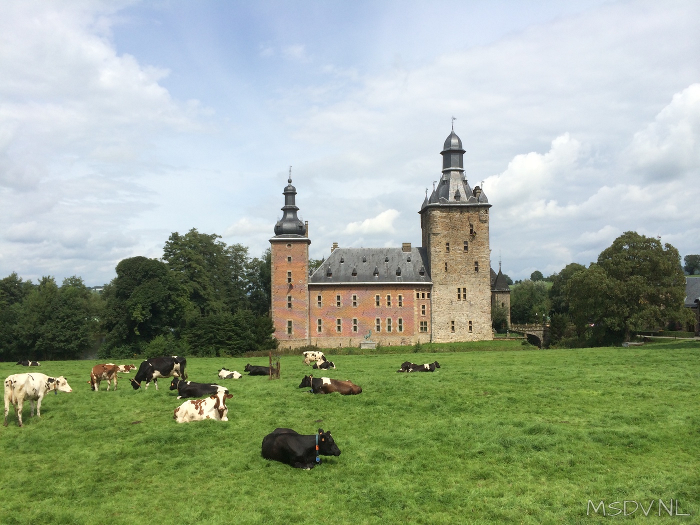 copyright msdv.nl