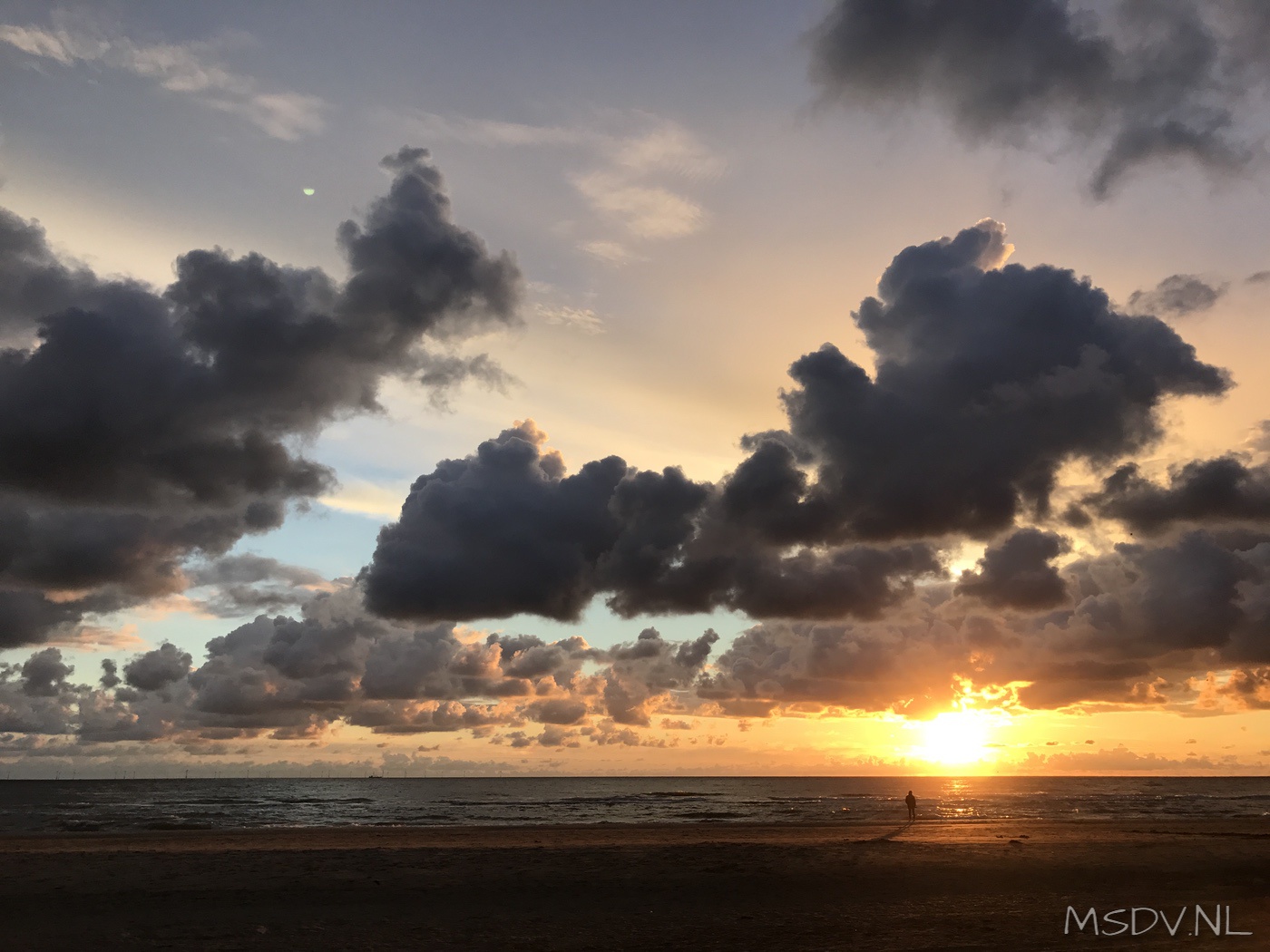 copyright msdv.nl