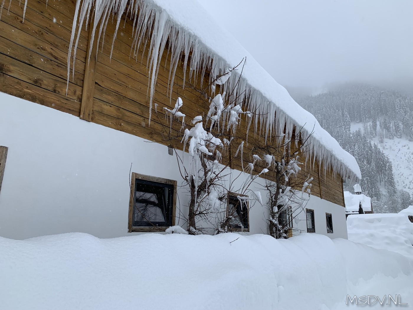 copyright msdv.nl