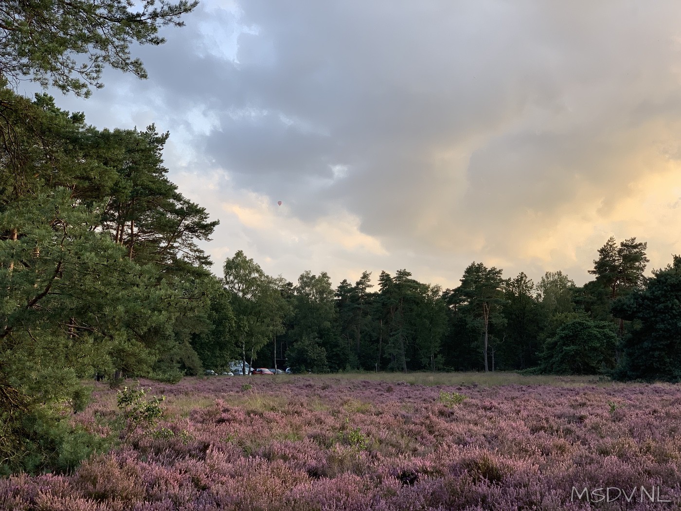 copyright msdv.nl