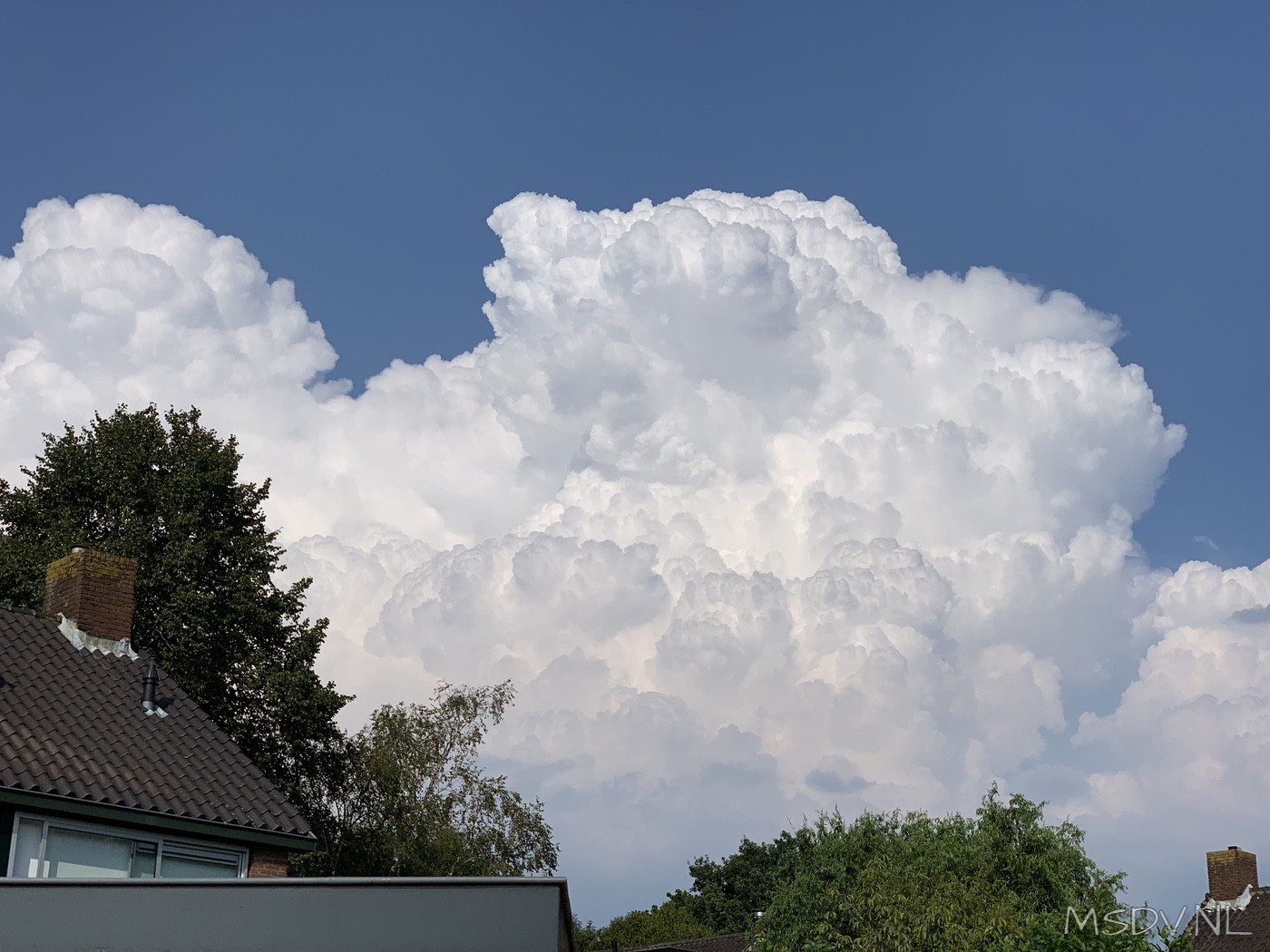 copyright msdv.nl