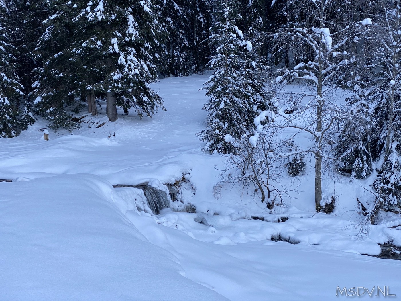 copyright msdv.nl