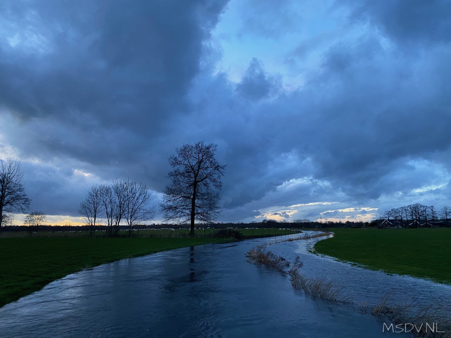copyright msdv.nl