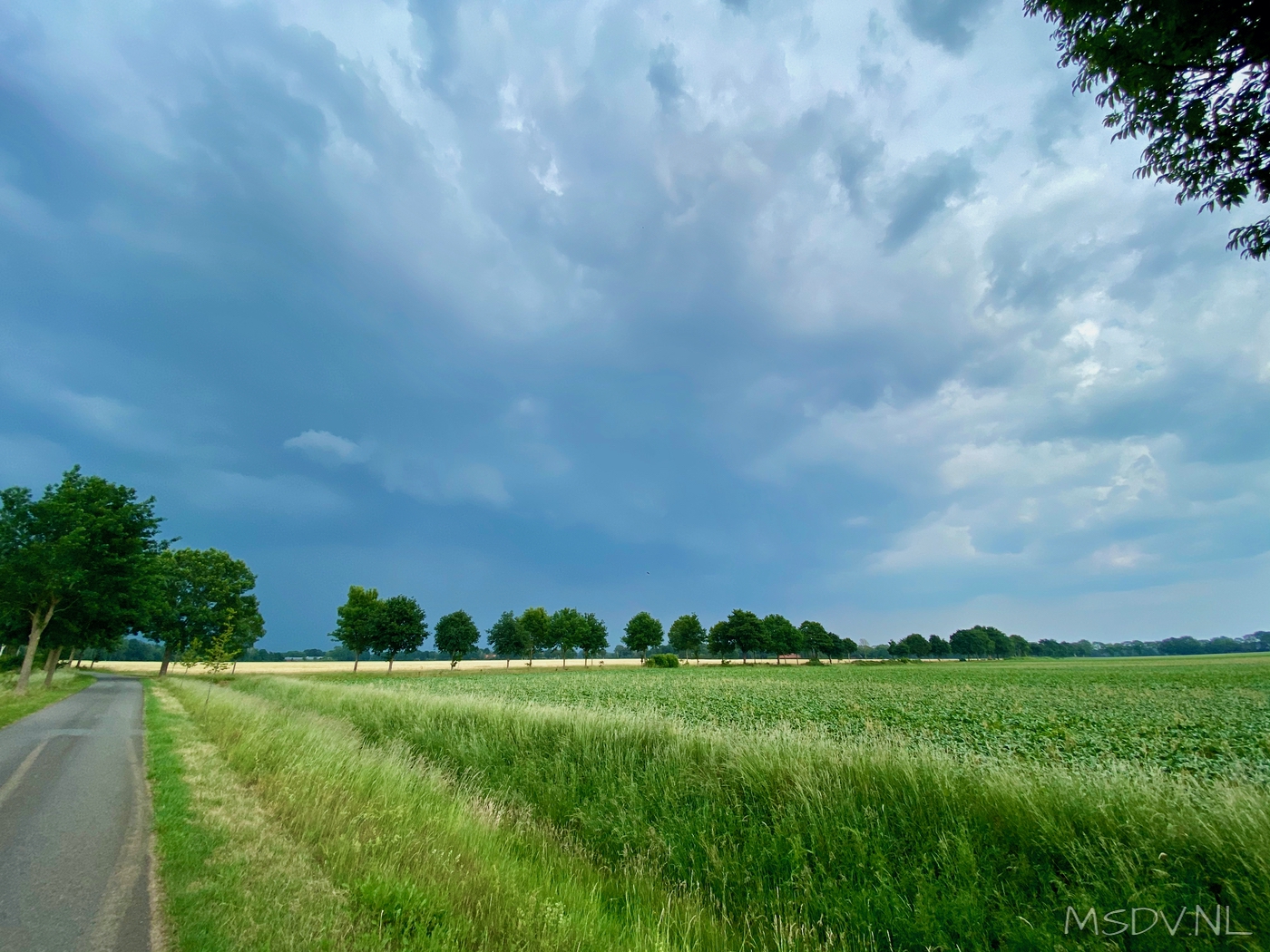 copyright msdv.nl