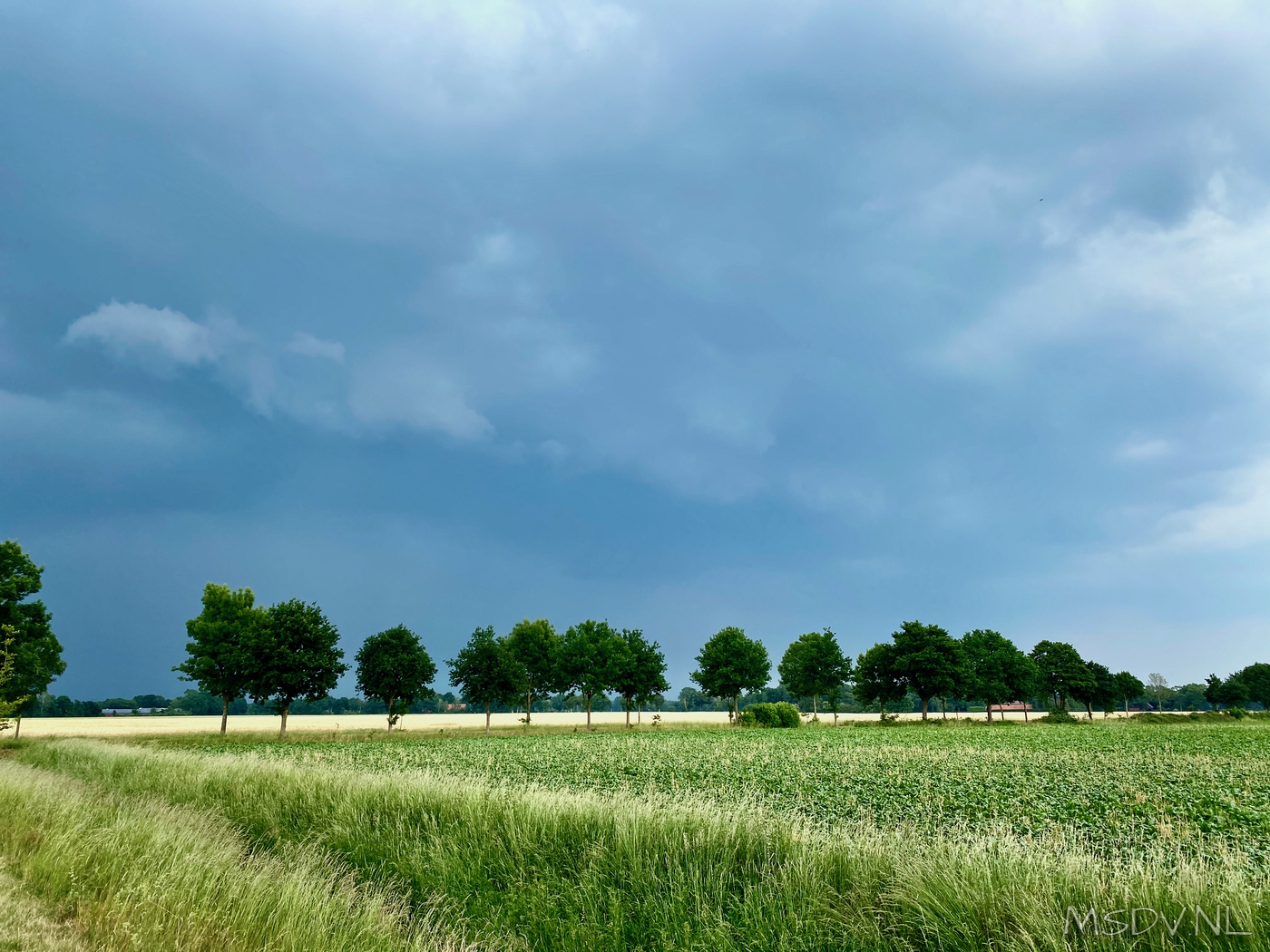 copyright msdv.nl
