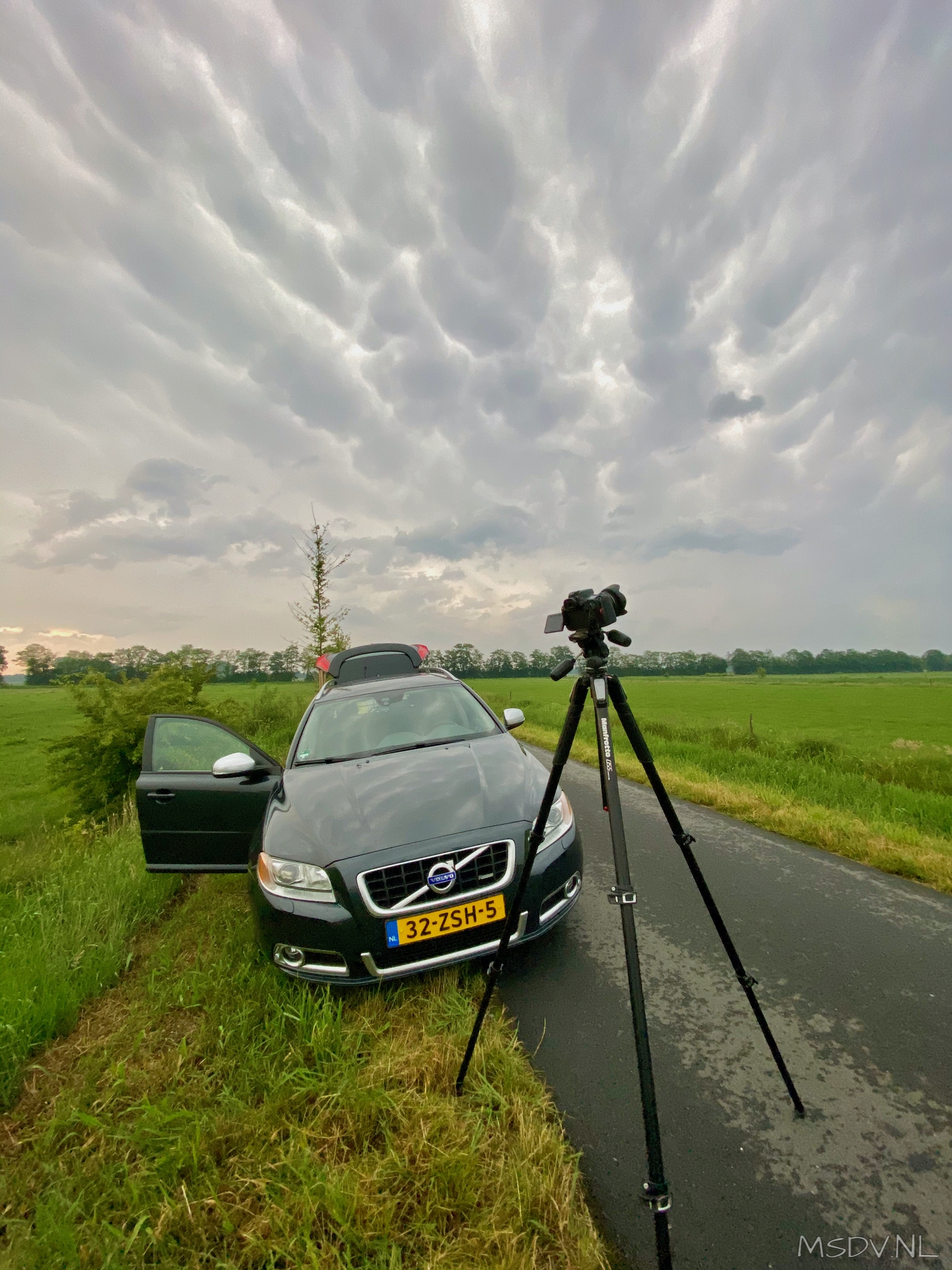 copyright msdv.nl