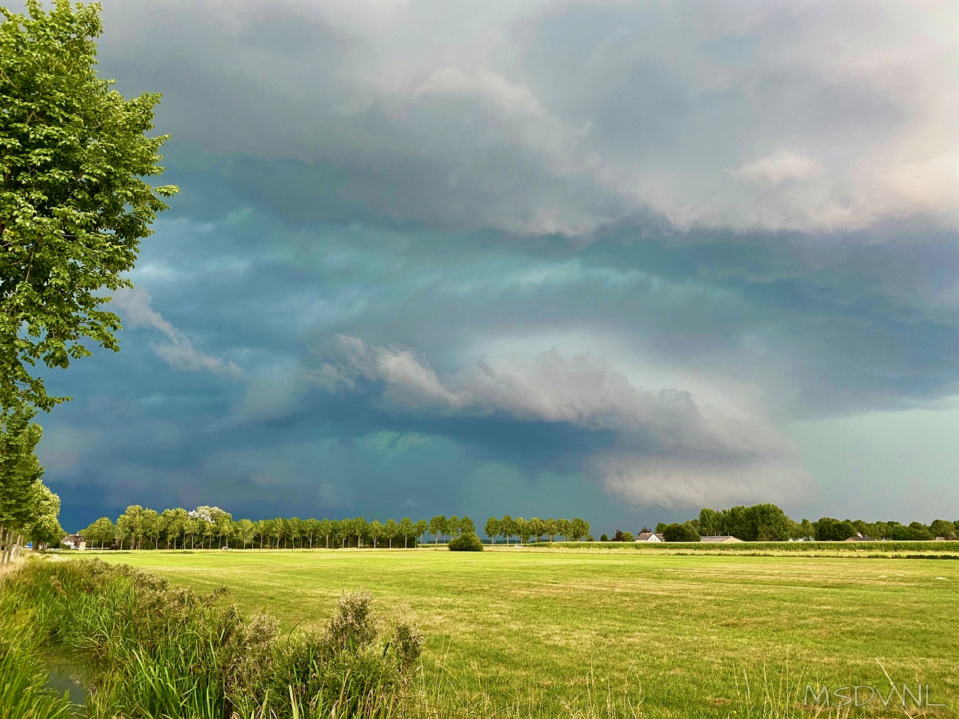 copyright msdv.nl